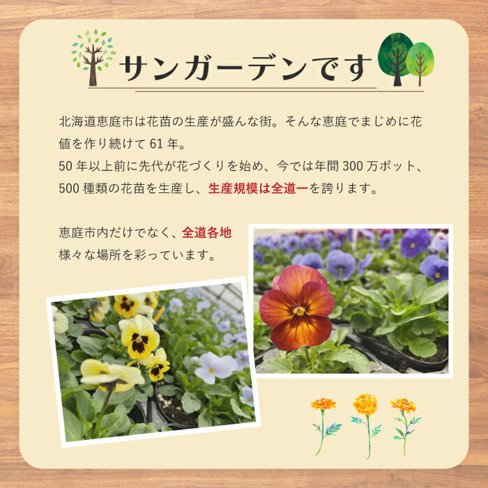 【ふるさと納税】季節の花苗 30ポット セット 花苗 花 お花 はな オンライン 申請 ふるさと納税 北海道 恵庭 ガーデニング フラワー 寄せ植え ベゴニア マリーゴールド ペチュニア ジニア キンギョソウ 季節の花 花の苗 季節 苗【780002】