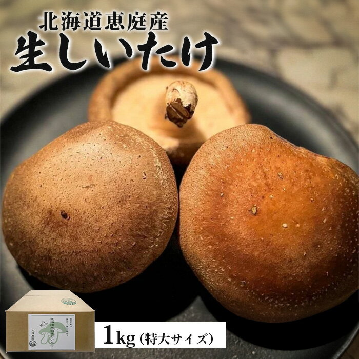 【ふるさと納税】北海道恵庭産 生しいたけ 1kg 25個前後 数量限定 特大サイズ オンライン 申請 ふるさと納税 北海道 恵庭 生椎茸 しいたけ 椎茸 菌床 きのこ 栄養満点 肉厚 濃厚 採れたて 野菜 大きい椎茸 恵庭市【800004】