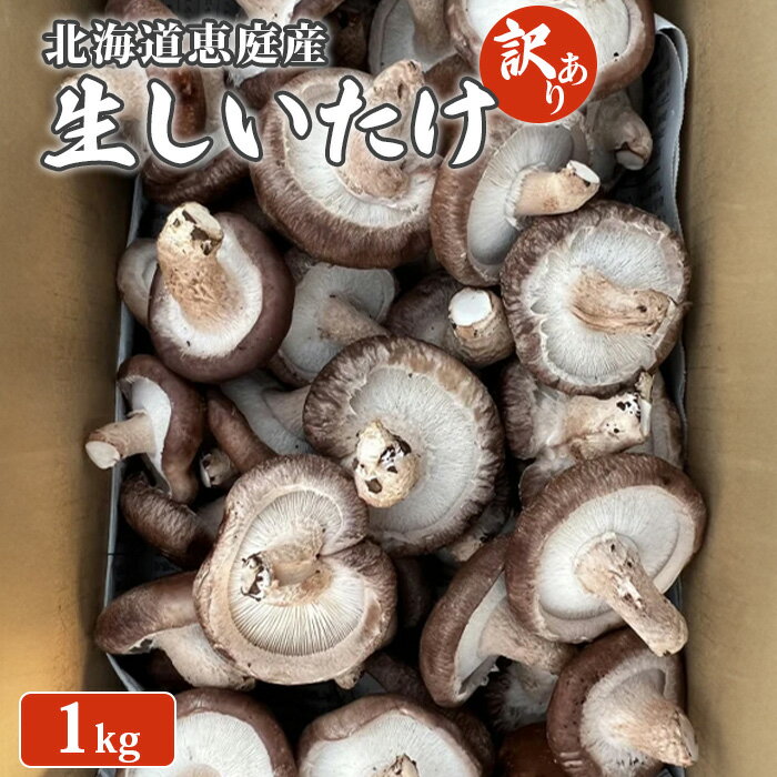 【ふるさと納税】北海道恵庭産 生しいたけ 1kg 35個前後 数量限定 訳あり品 訳あり オンライン 申請 ふるさと納税 北海道 恵庭 生椎茸 しいたけ 椎茸 菌床 きのこ 栄養満点 肉厚 濃厚 採れたて 野菜 鮮度抜群 恵庭市【800008】