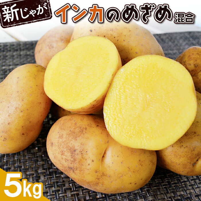 新じゃが インカのめざめ サイズ混合 5kg 芋 いも お芋 おいも オンライン 申請 ふるさと納税 北海道 恵庭 インカ じゃがいも ジャガイモ 甘い 濃厚 フライドポテト じゃがバター ポテトサラダ 根菜 野菜 恵庭市[830009]