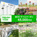 【ふるさと納税】北海道恵庭市の対象施設で使える 楽天トラベルクーポン 寄付額150,000円(クーポン45,000円) 【970015】