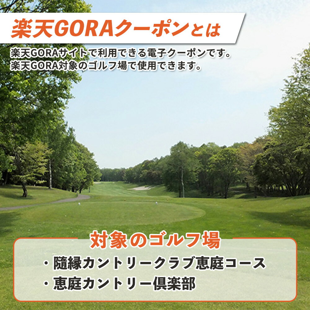 【ふるさと納税】北海道恵庭市の対象ゴルフ場で使える楽天GORAクーポン 寄付額30,000円【980003】