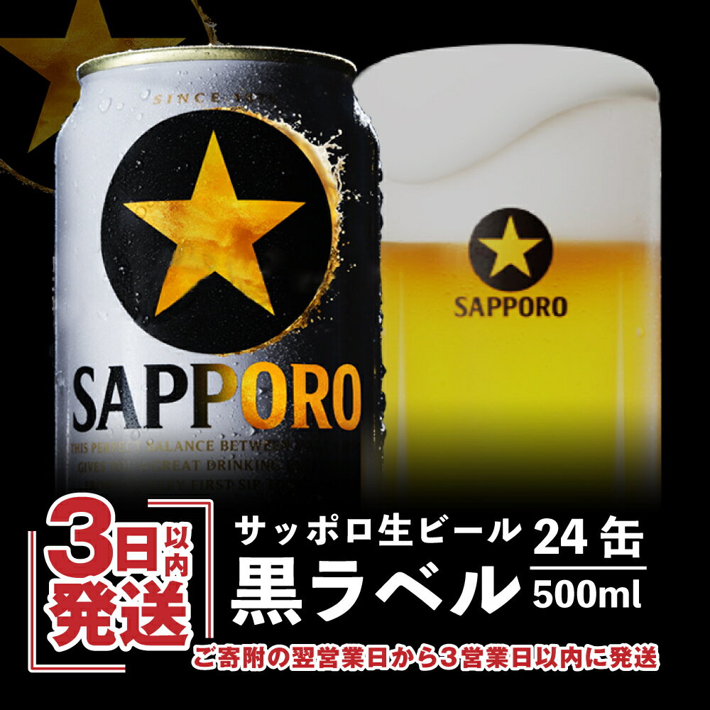 【ふるさと納税】 黒ラベル500ml×24本 サッポロビール サッポロ ビール 黒ラベル 500ml 24本 生ビール 北海道 ふるさと納税 恵庭市 恵庭 【30699】のサムネイル