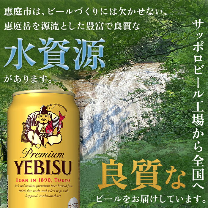 【ふるさと納税】ヱビスビール 350ml 500ml 24本 定期便 サッポロビール エビス サッポロ ビール 生ビール ヱビス えびす 北海道 ふるさと納税 恵庭市 恵庭 【300071】