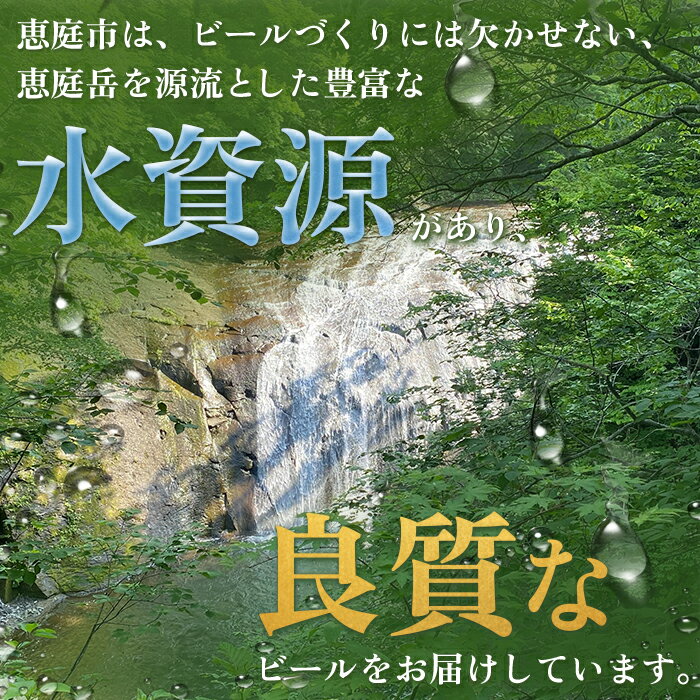 【ふるさと納税】【ビール飲み比べ2種セット】 ...の紹介画像3