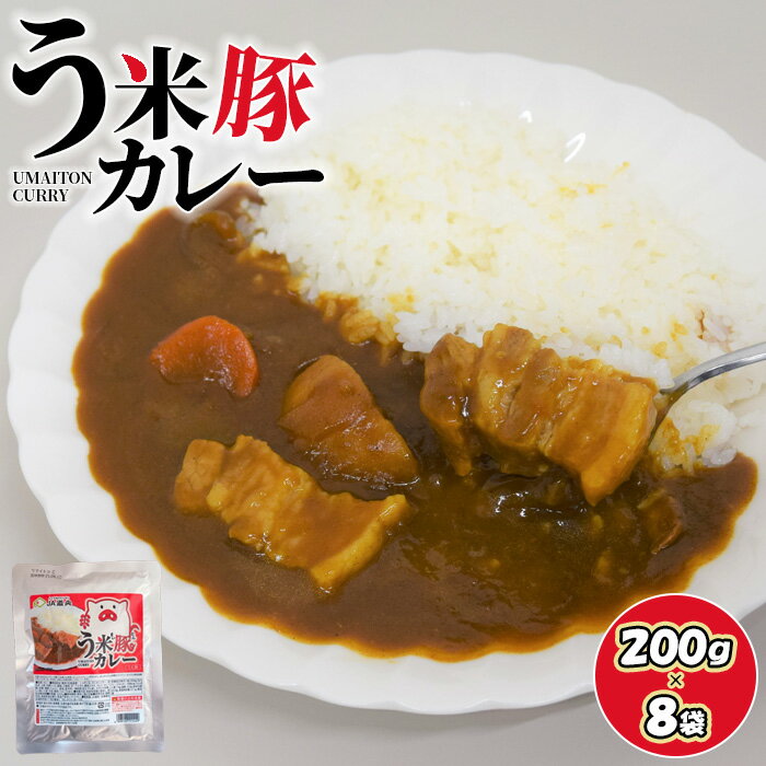 う米豚カレー 200g×8袋 レトルトカレー カレー う米豚 8人前 保存食 防災 北海道産 ブランド豚 北海道 ふるさと納税 恵庭市 恵庭 【290019】