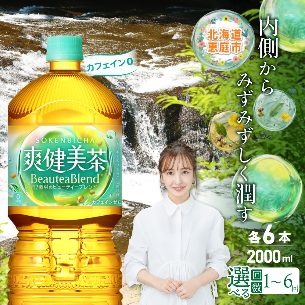 【ふるさと納税】爽健美茶 2000mlPET×6本 定期便（1～6回） 選べる回数 | 爽健美茶 お茶 ハトムギ カフェインゼロ ノンカフェイン ブレンド茶 そうけんびちゃ 健康 水分補給 コカコーラ お取り寄せ 北海道 恵庭市 恵庭 f012319-eniwa-10000101 北海道恵庭市 パッケージ画像