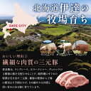 北海道伊達市の画像3