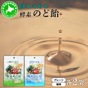 【ふるさと納税】酵素のど飴 2種 各2袋 プレーン&塩 飴 飴 北海道産の砂糖 輪島塩使用 ミネラル豊富 北海道産 大高酵素飲料 北海道 伊達市