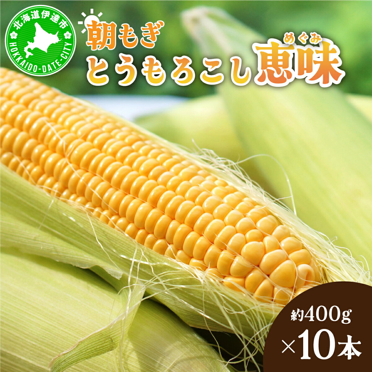 【ふるさと納税】＜2026年先行予約＞北海道産 朝もぎ とうもろこし 恵味 L-LLサイズ 約400g×10本 スイ..