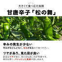 北海道伊達市の画像2