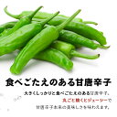 北海道伊達市の画像3