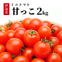 【ふるさと納税】北海道伊達産 ミニトマト 甘っこ 2kg とまと 甘い 野菜 やさい 人気 新鮮 産地直送 農家直送 先行受付