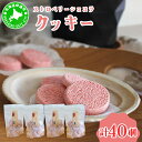 【ふるさと納税】北海道産 ストロベリー ショコラ クッキー 40個 森のおくりもの 菓子 焼菓子 クッキー 苺 ストロベリー すずあかね お菓子 おやつ スイーツ デザート 規格外 常温 送料無料