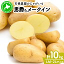 【ふるさと納税】北海道 じゃがいも 2種 男爵 メークイン 食べ比べ セット 各5kg 計10kg LM~2Lサイズ 先行受付 馬鈴薯 だんしゃく メイクイーン ポテト イモ 根菜 農作物 産地直送
