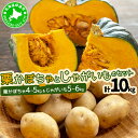 【ふるさと納税】北海道 かぼちゃ じゃがいも セット 合計10kg 先行受付 ジャガイモ 馬鈴薯 ポテト 芋 イモ カボチャ パンプキン 緑黄色野菜 甘い ほく...