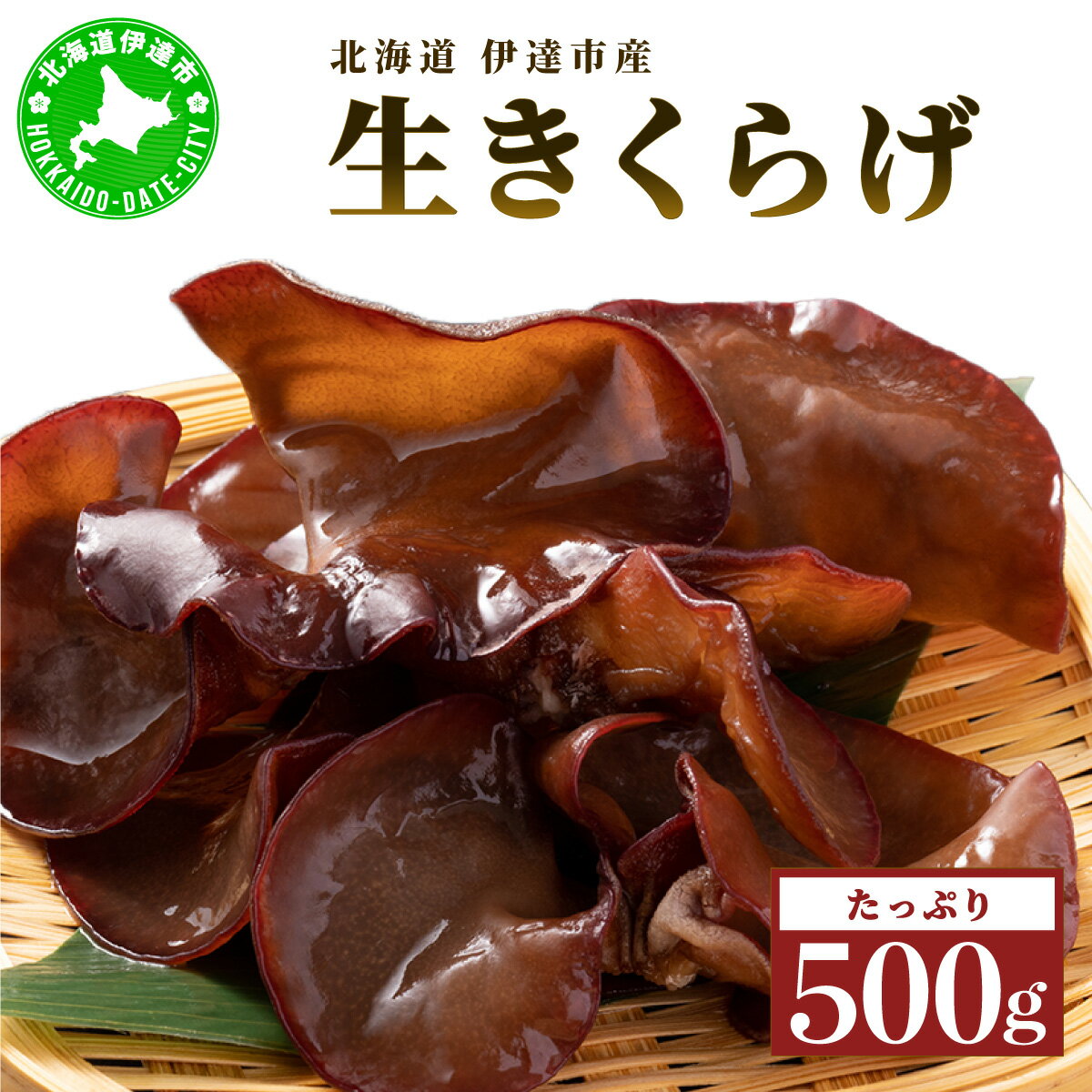 【ふるさと納税】湘南しいたけ 生 きくらげ 500g きくらげ 木耳 キクラゲ 生 ぷりぷり プリプリ こりこ..