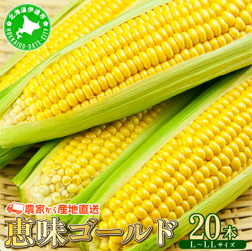 【ふるさと納税】やまけんや とうもろこし 恵味ゴールド 20本 スイートコーン コーン 甘い サラダ スープ 生でも美味しい 産地直送 BBQ とうきび 国産 人気 バーベキュー 焼きとうもろこし 取り寄せ 糖度 北海道 伊達市 【ふるさと納税】やまけんや とうもろこし 恵味ゴールド 20本 スイートコーン コーン 甘い サラダ スープ 生でも美味しい 産地直送 BBQ とうきび 国産 人気 バーベキュー 焼きとうもろこし 取り寄せ 糖度 北海道 伊達市