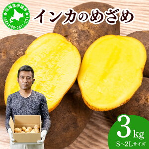 【ふるさと納税】やまけんや じゃがいも インカのめざめ 3kg S~2Lサイズ サイズ混合 馬鈴薯 芋 いも イモ ポテト 甘い 旬 農作物 野菜 ほくほく ホクホク 国産 お取り寄せ 常温 送料無料 北海道 伊達市