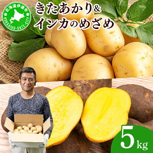 【ふるさと納税】やまけんや じゃがいも 2種 計5kg きたあかり インカのめざめ ジャガイモ いも イモ 芋 ほくほく ホクホク 甘い アレンジ 国産 産地直送 馬鈴薯 野菜 やさい 北あかり 送料無料 北海道 伊達市
