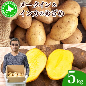 【ふるさと納税】やまけんや じゃがいも 2種 計5kg メークイン インカのめざめ いも 芋 イモ ジャガイモ 馬鈴薯 甘い 旬 農作物 野菜 ほくほく ホクホク クリーミー なめらか 国産 お取り寄せ 常温 送料無料 北海道 伊達市