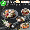 【ふるさと納税】噴火湾そのまんま ギフトセット(5種各1箱) 旬菜一鮮 だて大和屋 厳選 魚介 海鮮 刺身 刺し身 小分け 新鮮 魚介類 魚貝類 加工食品 贈答 ギフト 贈り物 ご褒美