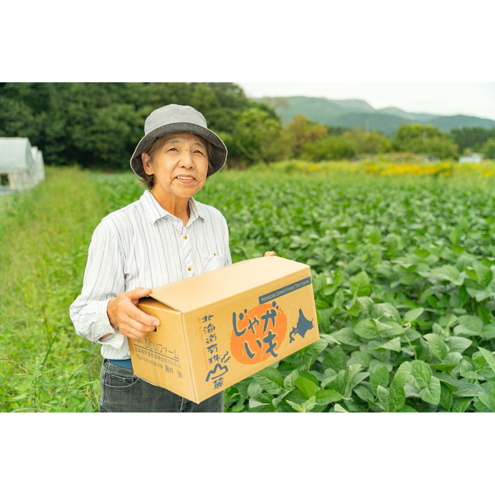 【ふるさと納税】北海道産 じゃがいも 北あかり 約5kg ジャガイモ 馬鈴薯 ポテト 芋 イモ きたあかり キタアカリ 栗じゃがいも 先行受付 産地直送 野菜 農作物 ホクホク じゃがバター コロッケ 人気 ふじいファーム 送料無料