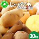 【ふるさと納税】北海道産 じゃがいも 2種 約10kg とうや メークイン 北あかり ジャガイモ 馬鈴薯 ポテト 芋 イモ 先行受付 産地直送 野菜 農作物 甘...
