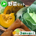 【ふるさと納税】キャベツ2玉 かぼちゃ(訳あり)2玉 じゃがいも800g セット
