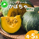 【ふるさと納税】【訳あり】かぼちゃ4~5玉