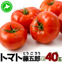 【ふるさと納税】【2025年 発送 】 先行予約 北海道 伊達 トマト 藤五郎 約 40 玉 M ~ L サイズ とまと 新鮮 ジューシー 産地直送(4)