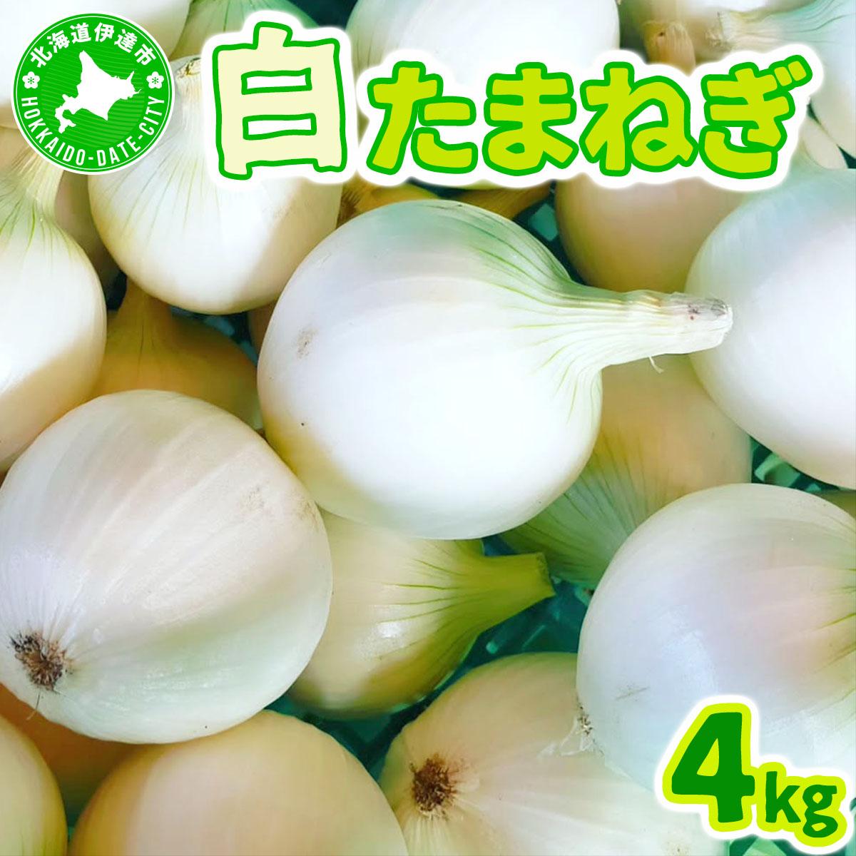 【ふるさと納税】【2025年6月中旬発送】白玉ねぎ 4kg 北海道 伊達産 タマネギ 玉葱 サラダ