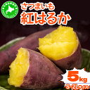 【ふるさと納税】北海道 伊達 さつまいも 紅はるか 5kg 熟成 高糖度 サツマイモ 芋 甘い スイートヤバ芋 産地直送