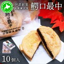 【ふるさと納税】伊達銘菓 有珠善光寺 鰐口最中 10個セット