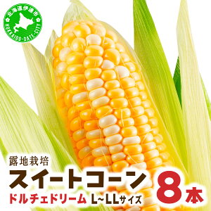 【ふるさと納税】とうもろこし ドルチェドリーム L~LLサイズ 8本 露地 栽培 バイカラー スイートコーン 北海道 伊達市 生産者 直送 新鮮 宍戸農園 【オンライン決済限定】