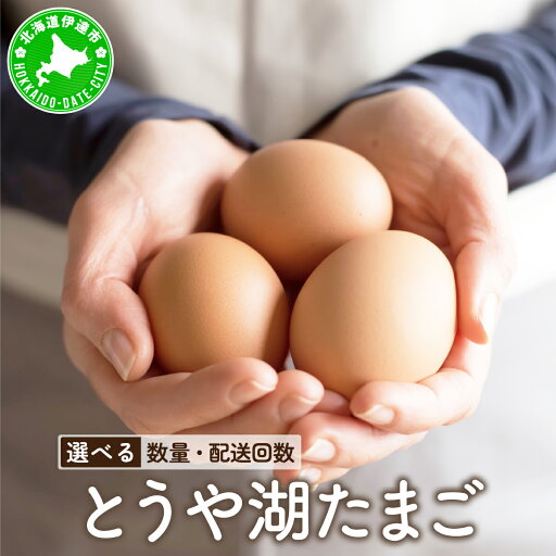 【ふるさと納税】北海道 伊達市 とうや 卵【選べる数量・お届け回数】 【ふるさと納税】北海道 伊達市 とうや 卵【選べる数量・お届け回数】
