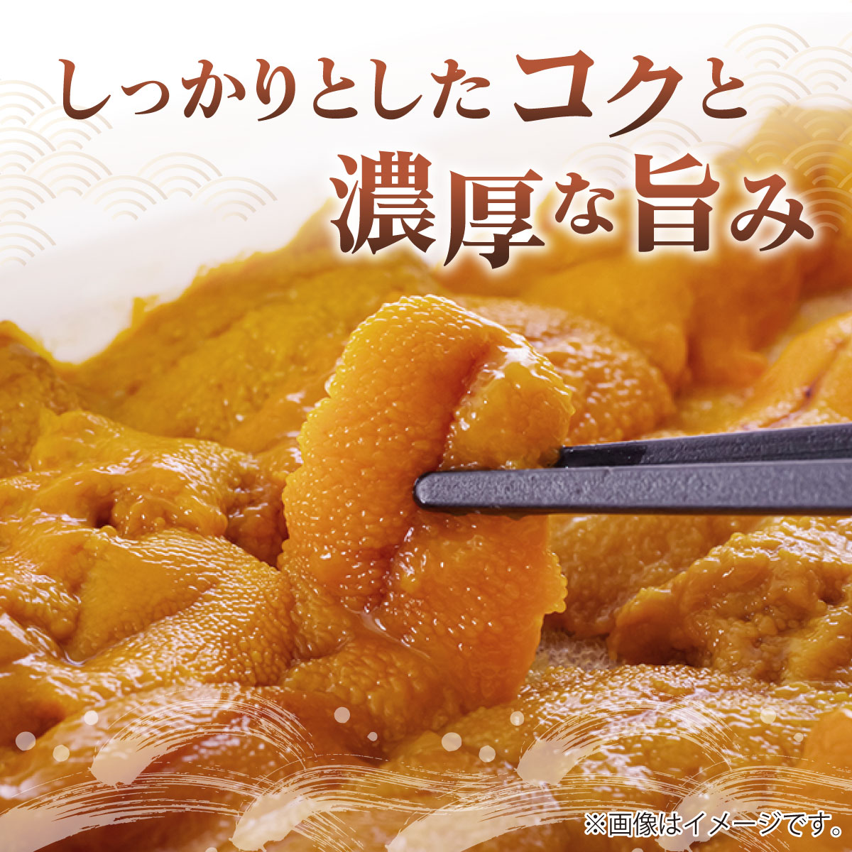 【ふるさと納税】＜先行予約＞ 北海道産 ムラサキウニ（訳あり）【ogm-028】うに 海鮮 訳あり 国産 北海道 伊達 ふるさと納税
