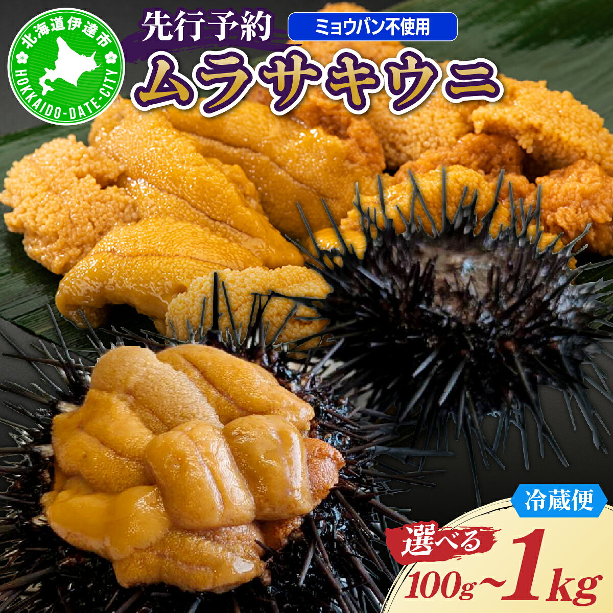 【選べる内容量】 北海道産 ムラサキウニ（正規品） 100g～1kg【ogm-027-sku】生うに 塩水うに ミョウバン不使用 海鮮 国産 北海道 伊達 ふるさと納税