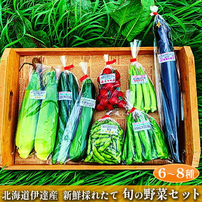 【ふるさと納税】新鮮採れたて！旬の伊達野菜セット（6〜8種）　【野菜・セット・詰合せ・野菜・じゃがいも・野菜・ミニトマト】　お届け：2022年7月15日〜2022年9月30日･･･