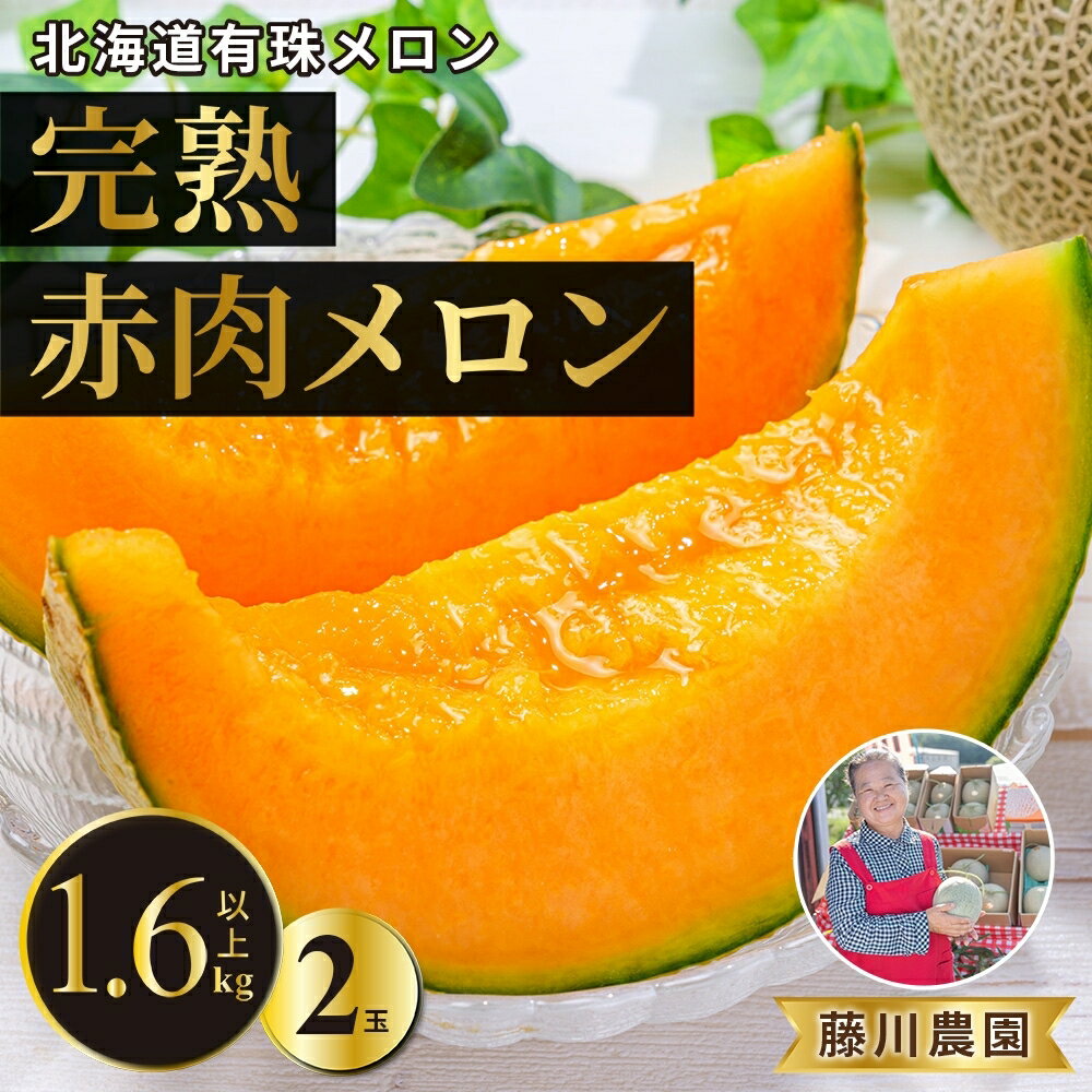 北海道産 有珠メロン 2玉 セット 赤肉 Lサイズ 1.6kg以上×2玉 ツル付き レッドルピア 果物 めろん フルーツ くだもの 完熟 旬 ご褒美 ギフト お祝い 産地直送 お取り寄せ 北海道 藤川農園 送料無料 伊達 [伊達市] お届け:2024年7月中旬〜9月上旬まで