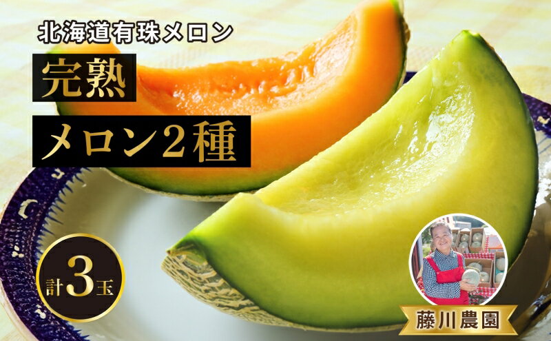 【ふるさと納税】北海道産 有珠メロン 3玉 セット Lサイズ 1.6kg以上 赤肉×1 青肉×2 計3玉 食べ比べ ツル付き 果物 めろん フルーツ くだもの 完熟 旬 ご褒美 ギフト 産地直送 お取り寄せ 北海道 藤川農園 送料無料 伊達　【伊達市】　お届け：2024年7月中旬～9月上旬まで