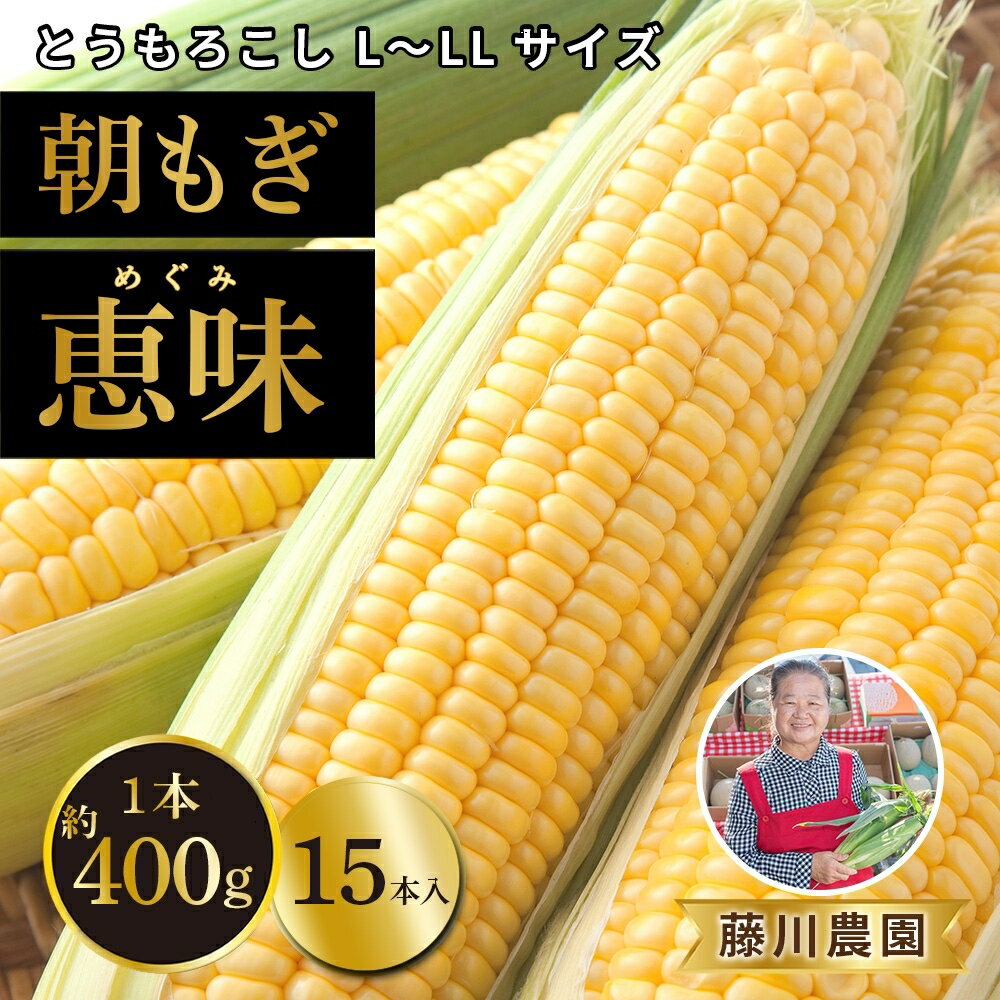 北海道産 朝もぎ とうもろこし 恵味 L-LLサイズ 約400g×15本 スイートコーン ゴールドコーン トウモロコシ とうきび コーン 旬 完熟 野菜 甘い おやつ 産地直送 お取り寄せ 北海道 送料無料 伊達 　【伊達市】　お届け：2024年7月中旬～9月上旬まで