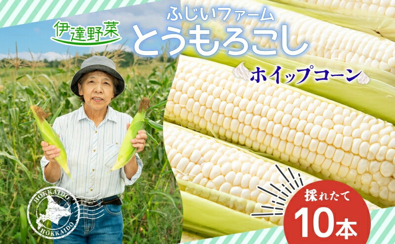 【ふるさと納税】北海道産 とうもろこし ホワイト 雪の妖精 10本 Lサイズ トウモロコシ とうきび コーン スイートコーン 旬 新鮮 朝採り 産地直送 国産 野菜 農作物 甘い 白い 人気 BBQ ふじいファーム 送料無料　【 伊達市 】　お届け：2024年7月下旬～10月上旬