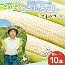 【ふるさと納税】≪ふじいファーム≫採れたて白いとうもろこし10本　【野菜・とうもろこし】　お届け：2024年7月下旬～10月上旬まで