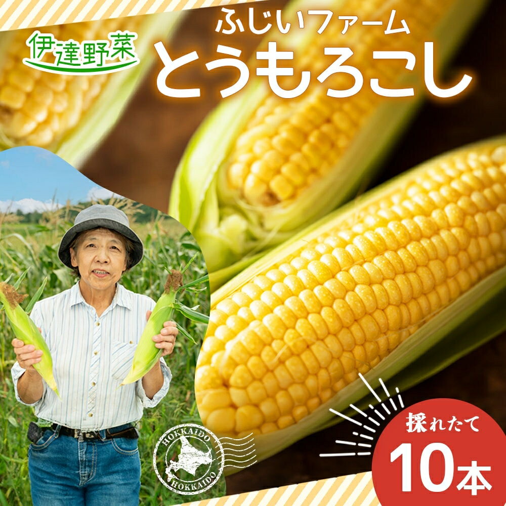 北海道産 とうもろこし 恵味 ゴールドラッシュ 10本 Lサイズ トウモロコシ とうきび コーン スイートコーン 旬 新鮮 朝採り 産地直送 国産 野菜 農作物 甘い めぐみ 人気 BBQ ふじいファーム 送料無料 [ 伊達市 ] お届け:2024年7月下旬〜10月上旬