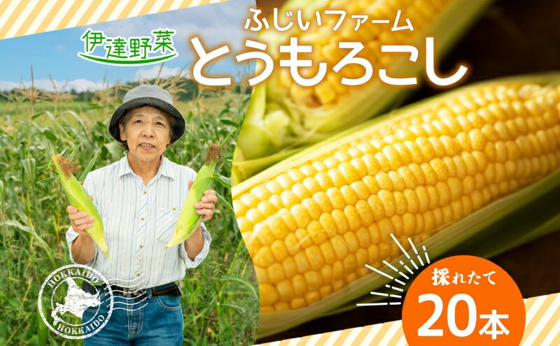 【ふるさと納税】北海道産 とうもろこし 恵味 ゴールドラッシュ 20本 Lサイズ トウモロコシ とうきび コーン スイートコーン 旬 新鮮 朝採り 産地直送 国産 野菜 農作物 甘い めぐみ 人気 BBQ ふじいファーム 送料無料　【 伊達市 】　お届け：2024年7月下旬～10月上旬