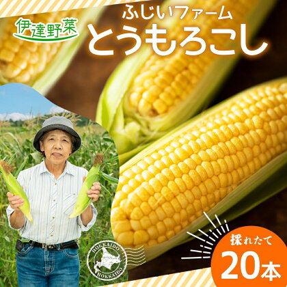 北海道産 とうもろこし 恵味 ゴールドラッシュ 20本 Lサイズ トウモロコシ とうきび コーン スイートコーン 旬 新鮮 朝採り 産地直送 国産 野菜 農作物 甘い めぐみ 人気 BBQ ふじいファーム 送料無料　【 伊達市 】　お届け：2024年7月下旬～10月上旬