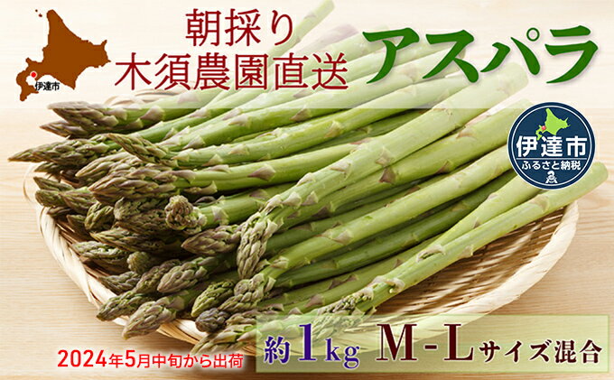 【ふるさと納税】伊達【木須農園】の採れたてグリーンアスパラ約1kg　【アスパラガス・野菜】　お届け：2024年5月中旬～6月下旬まで