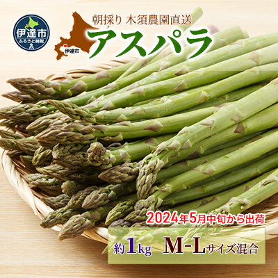 伊達[木須農園]の採れたてグリーンアスパラ約1kg [アスパラガス・野菜] お届け:2024年5月中旬〜6月下旬まで