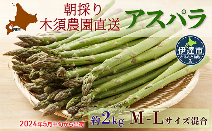 【ふるさと納税】伊達【木須農園】の採れたてグリーンアスパラ約2kg　【アスパラガス・野菜】　お届け：2024年5月中旬～6月下旬まで